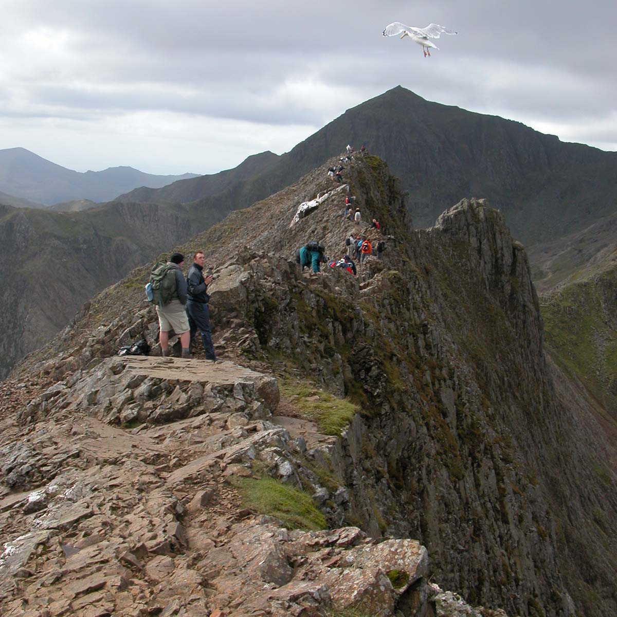 Crib Goch